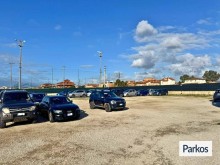  mr-parking-paga-in-park-4 