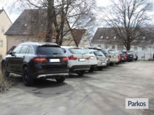  parkservice-loewe-1 