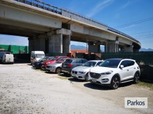  pisa-service-paga-in-parcheggio-1 