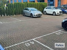  roseparking-1 