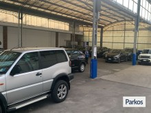  well-parking-linate-4 