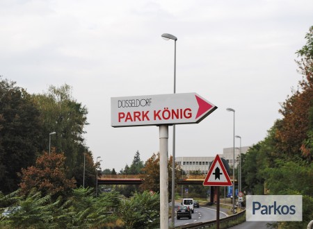 Parkkönig photo 2