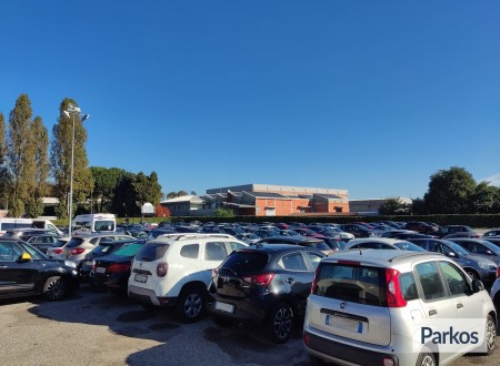Well Parking Malpensa (Paga online) foto 10