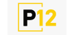 P12 BRU AIRPORT Logo
