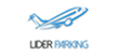 Parking Dragon