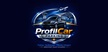 Profil Car Parking Logo